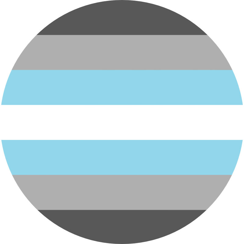 demiboy pride flag