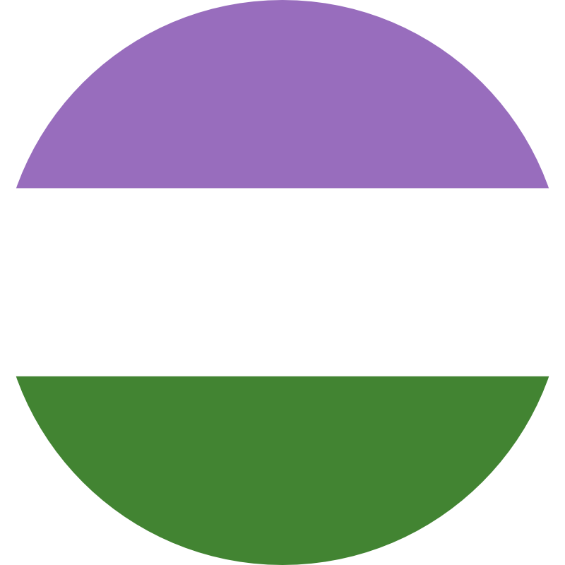 genderqueer pride flag 