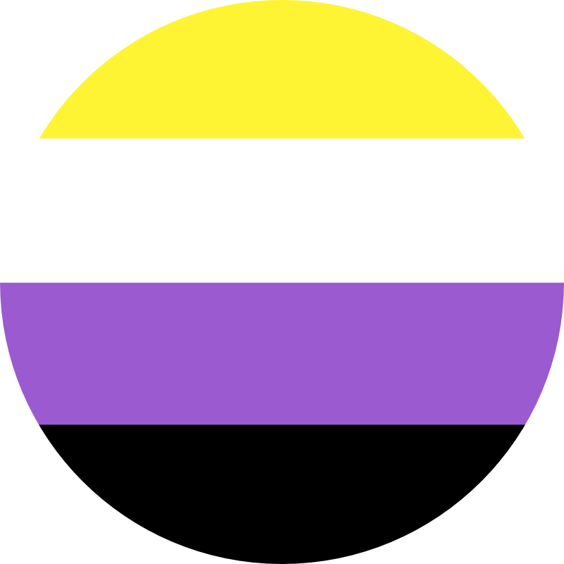 nonbinary pride flag