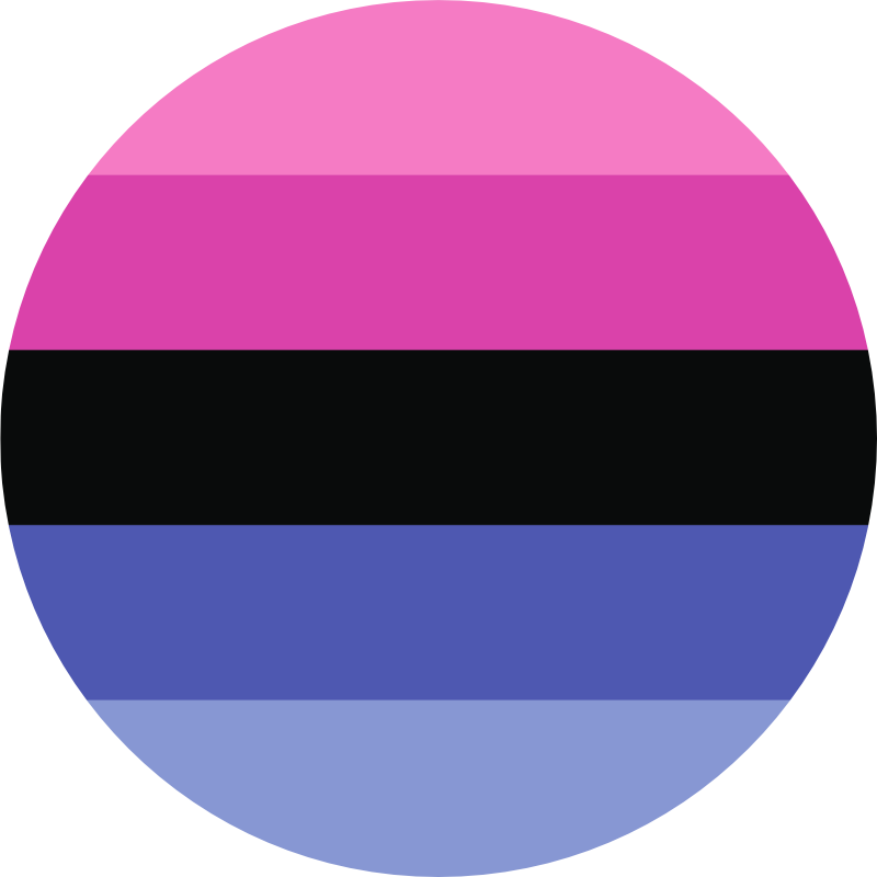 omnisexual pride flag