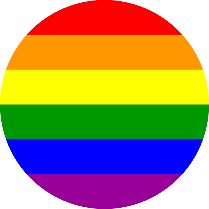 rainbow lgbtq pride flag