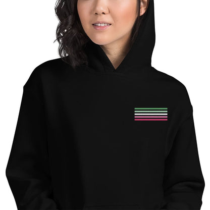 abrosexual hoodie, subtle abro pride flag embroidered pocket design hooded sweatshirt, model 1 zoom