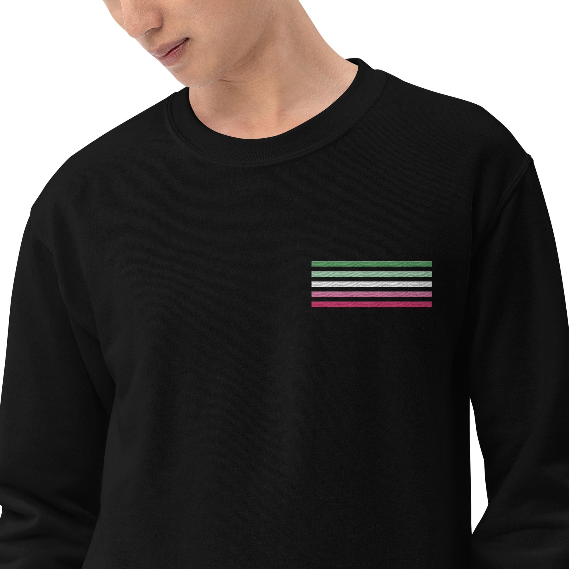 abrosexual sweatshirt, subtle abro pride flag embroidered pocket design sweater, model 2 zoom