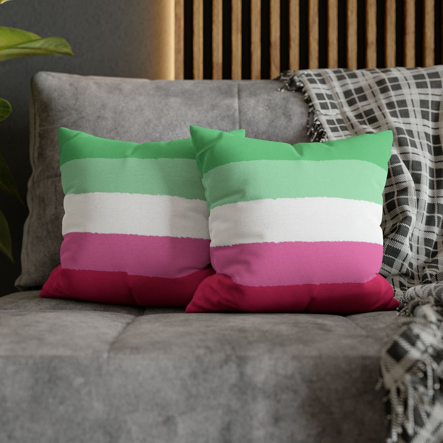 2 abrosexual pillow on couch