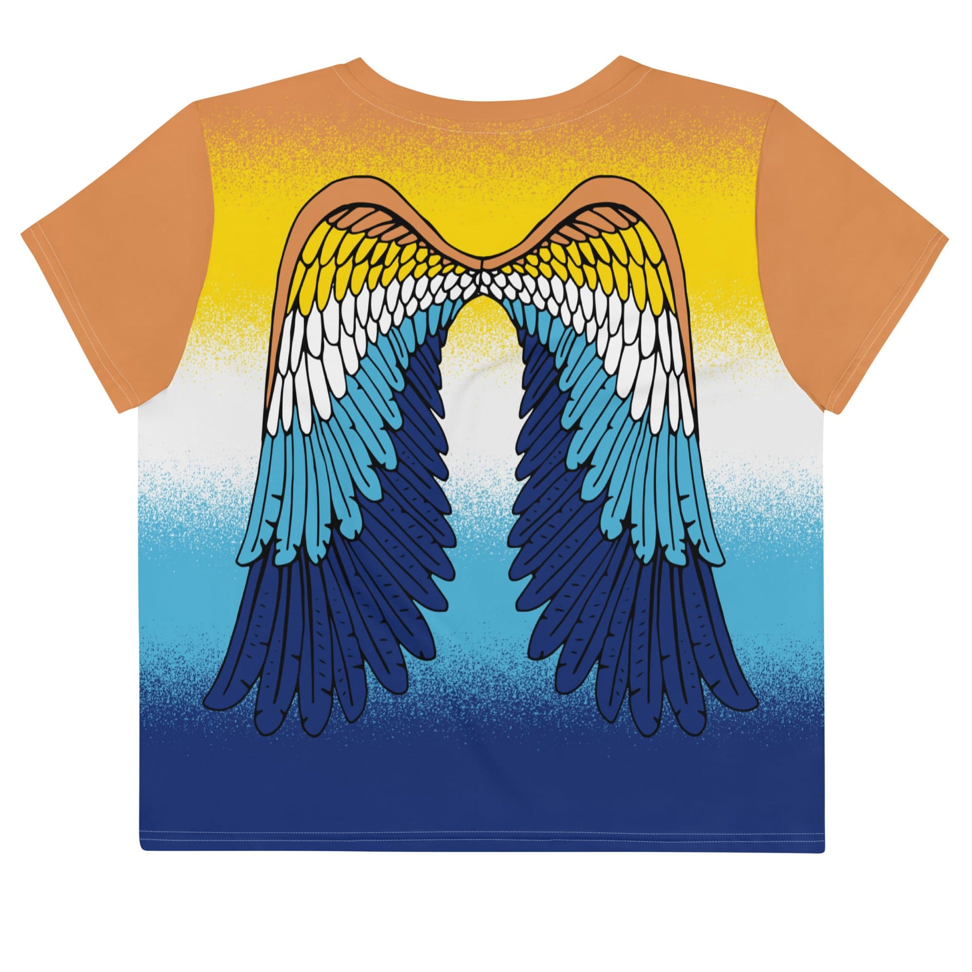 aroace crop top, aro ace pride cropped shirt with wings on back, flatlay back