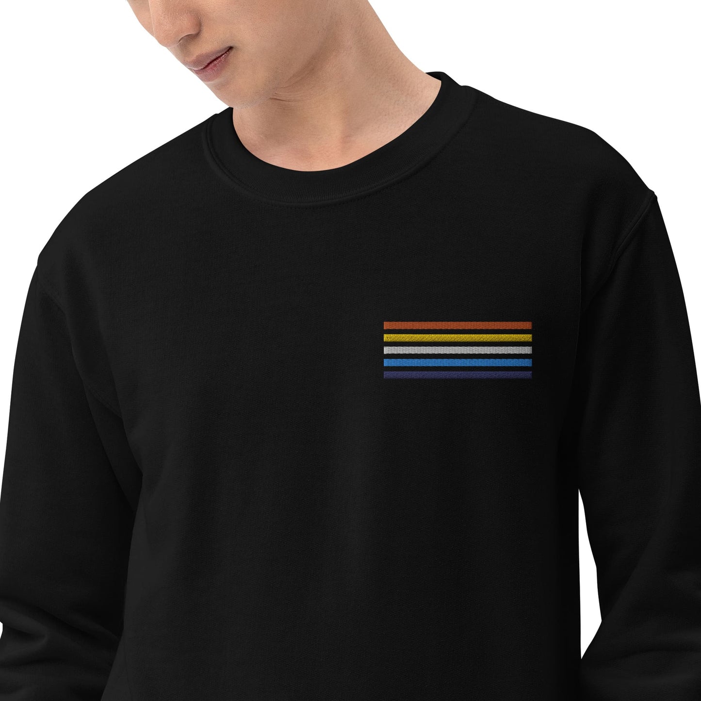 aroace sweatshirt, subtle aro ace pride flag embroidered pocket design sweater, model 1