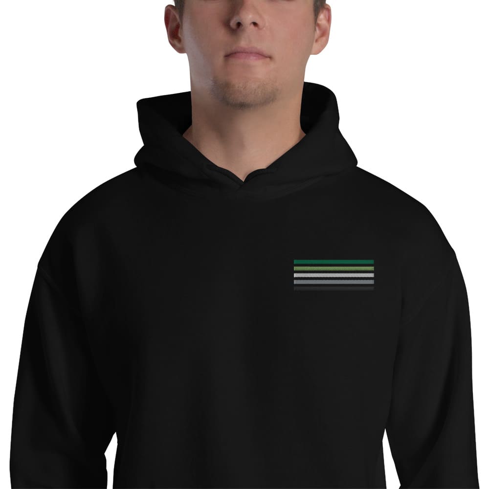 aromantic hoodie, subtle aro pride flag embroidered pocket design hooded sweatshirt, model 1