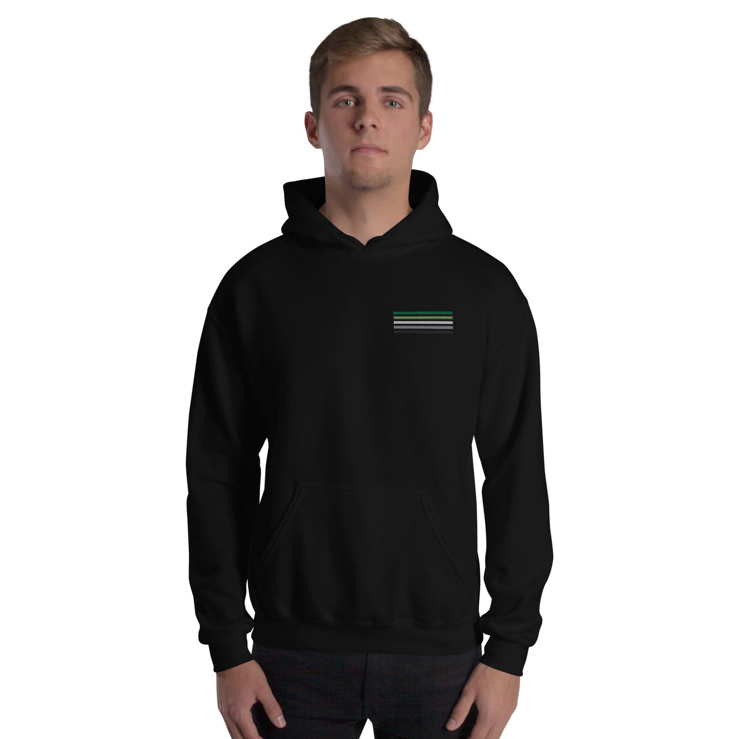aromantic hoodie, subtle aro pride flag embroidered pocket design hooded sweatshirt, model 1