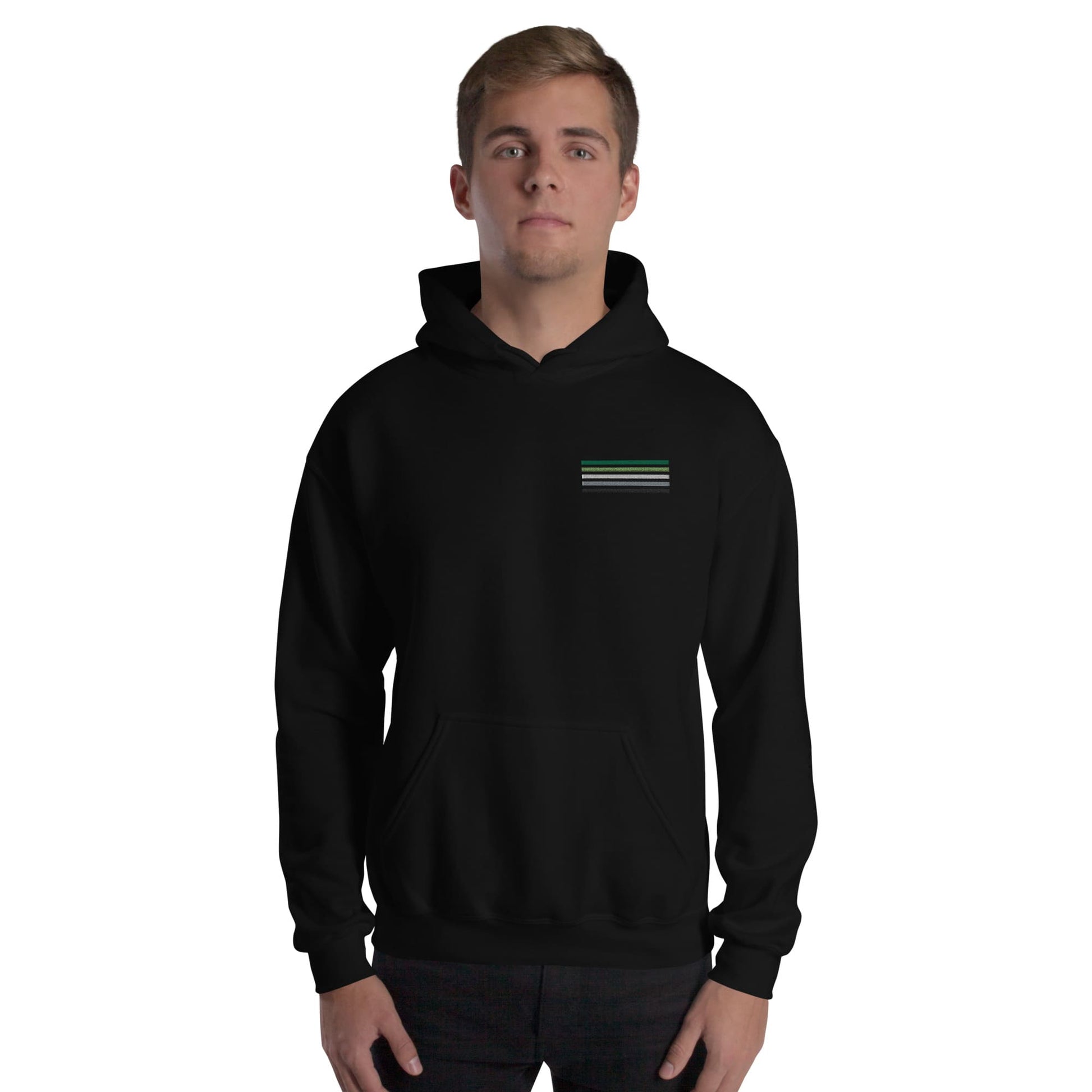 aromantic hoodie, subtle aro pride flag embroidered pocket design hooded sweatshirt, model 1