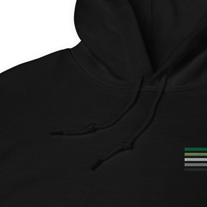 aromantic hoodie, subtle aro pride flag embroidered pocket design hooded sweatshirt, strings