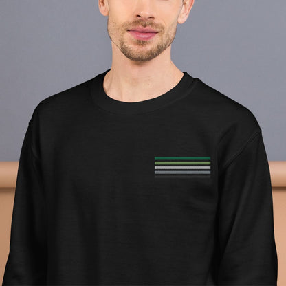 aromantic sweatshirt, subtle aro pride flag embroidered pocket design sweater, model 1
