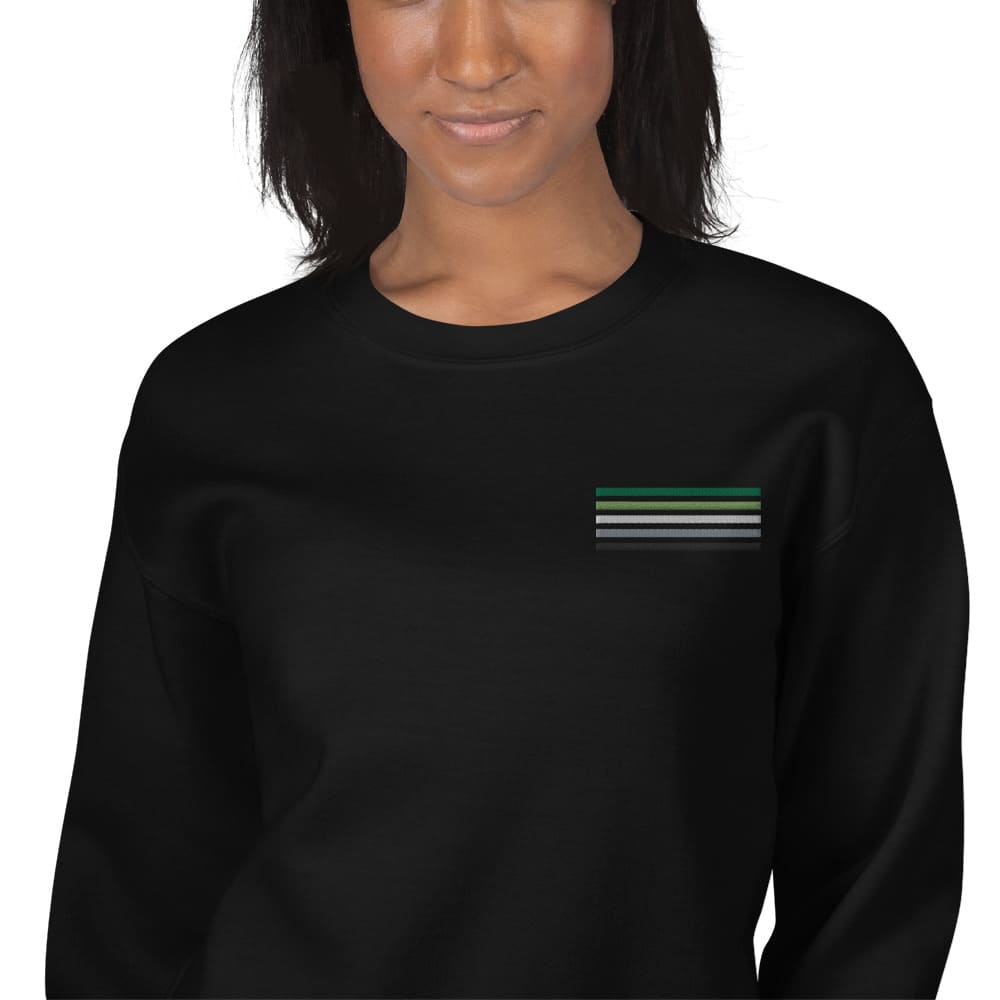 aromantic sweatshirt, subtle aro pride flag embroidered pocket design sweater, model 2