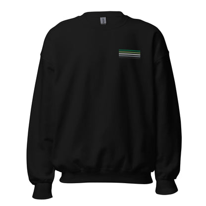 aromantic sweatshirt, subtle aro pride flag embroidered pocket design sweater, hang