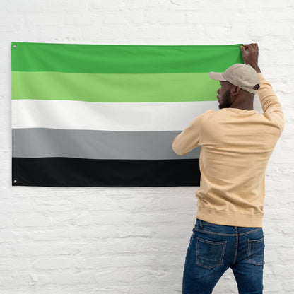 Aromantic flag wall tapestry, with model