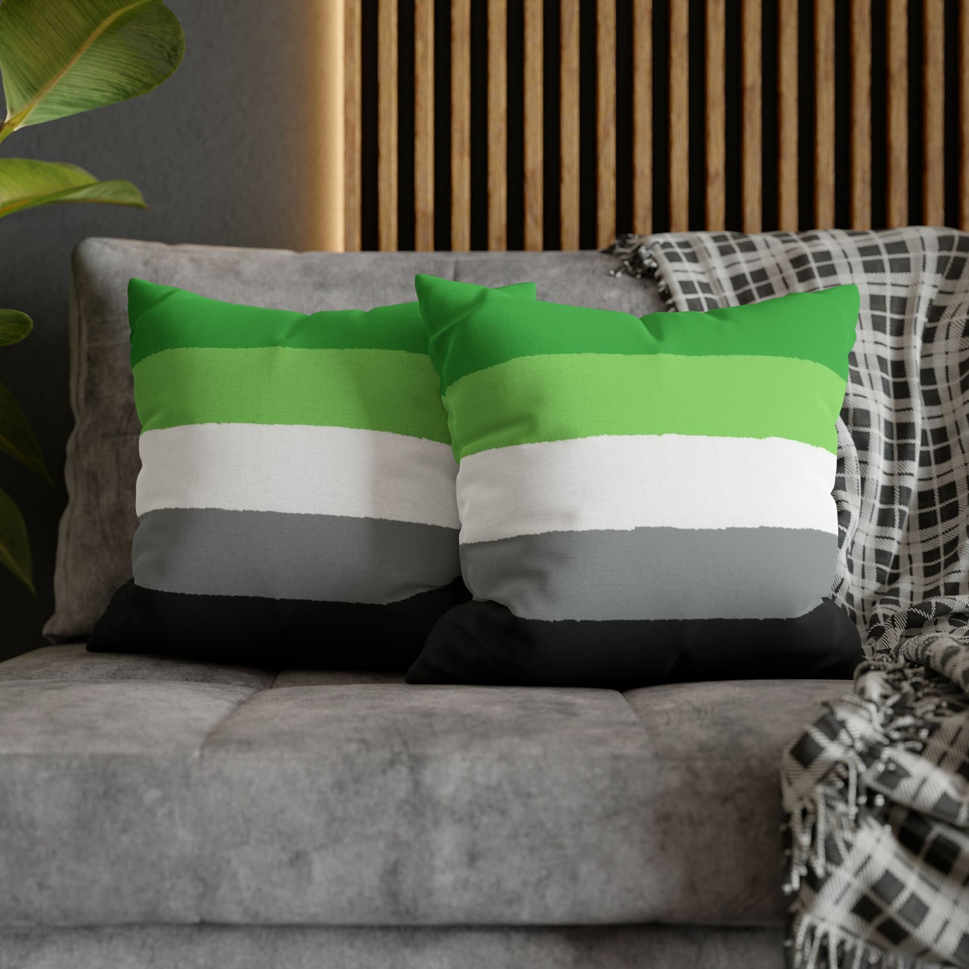 2 aromantic pillows on couch
