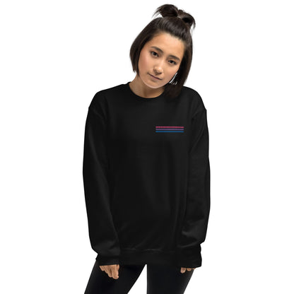 bisexual sweatshirt, subtle bi pride flag embroidered pocket design hooded sweater, model 1
