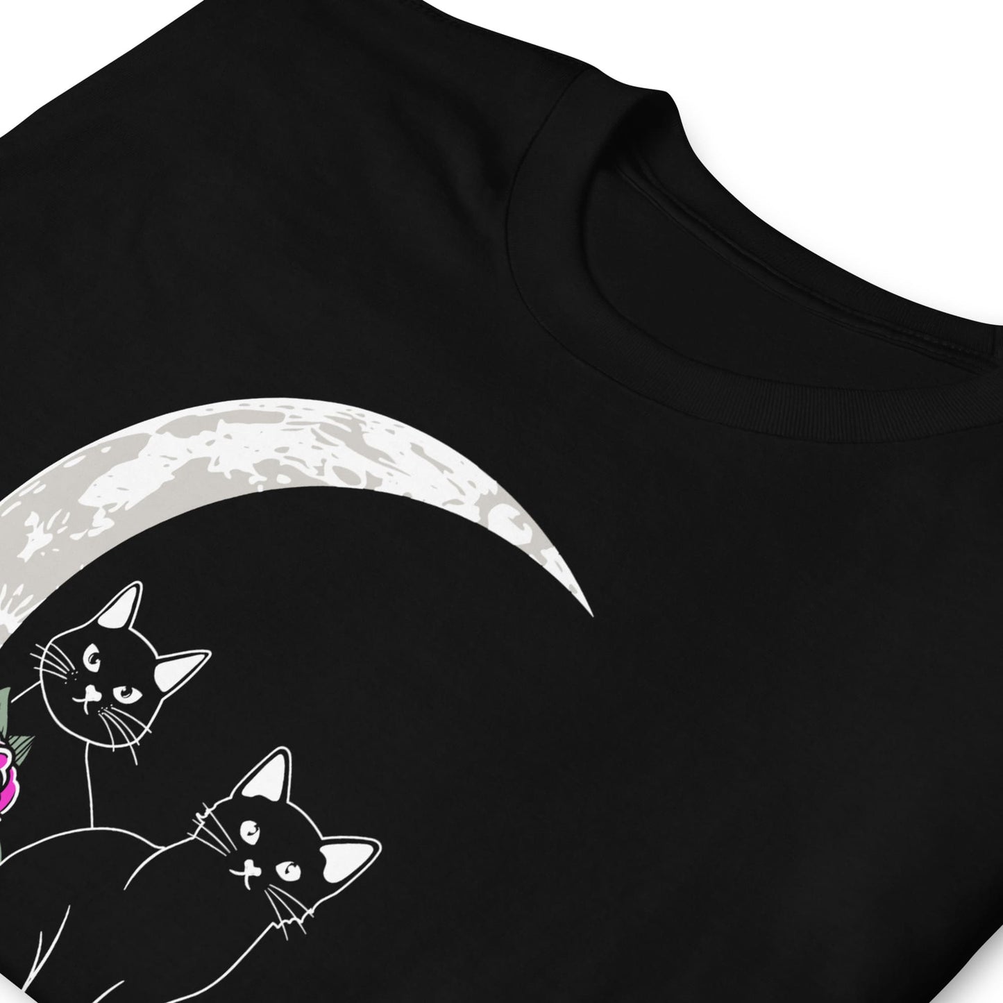 pansexual shirt, 2 cute cats on the moon with flowers in pan pride colors, zoom