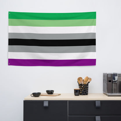 classic aroace flag wall tapestry, in use