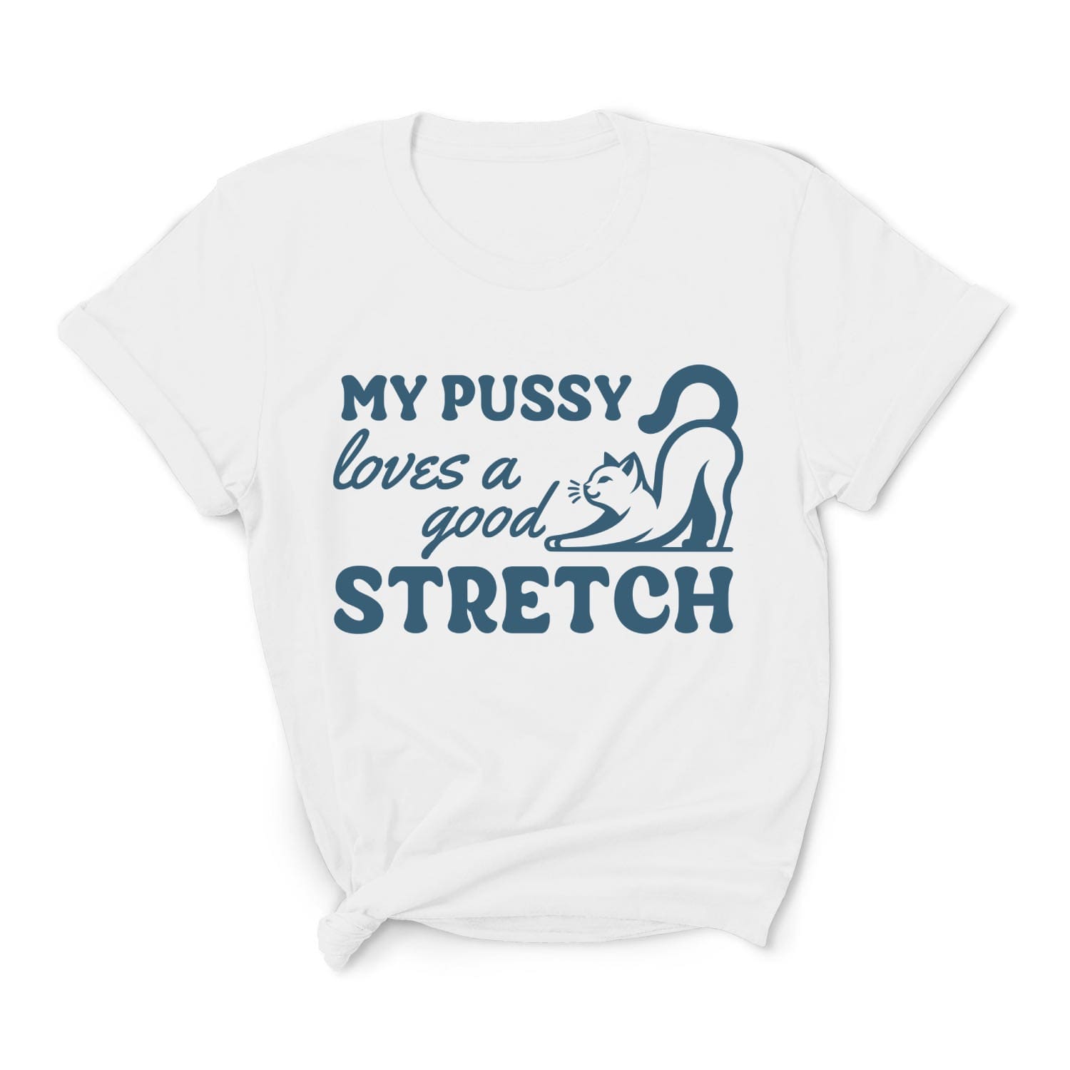 White t-shirt with blue text and graphic on a white background: Inappropriate Womens Shirt, Rude Unhinged Tee, Funny Gag Gift, Offensive Meme T-Shirt, Adult Humor Shirt, My Pussy Loves A Good Stretch