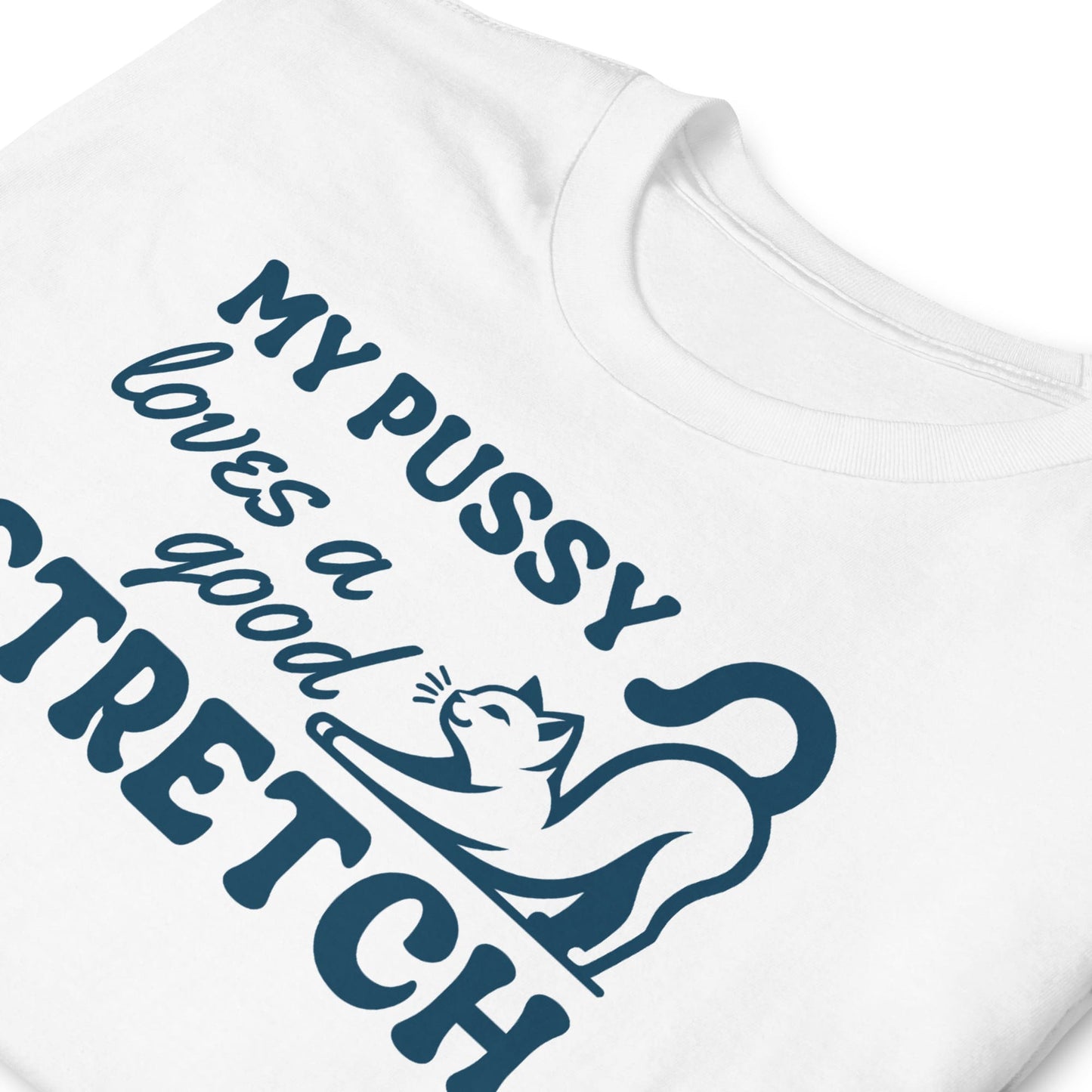 White t-shirt with blue graphic and text on a white background: Inappropriate Womens Shirt, Rude Unhinged Tee, Funny Gag Gift, Offensive Meme T-Shirt, Adult Humor Shirt, My Pussy Loves A Good Stretch