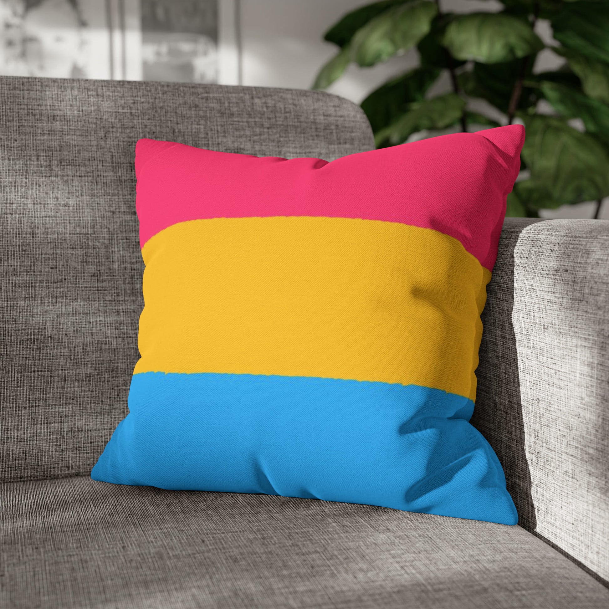 pansexual pillow on sofa