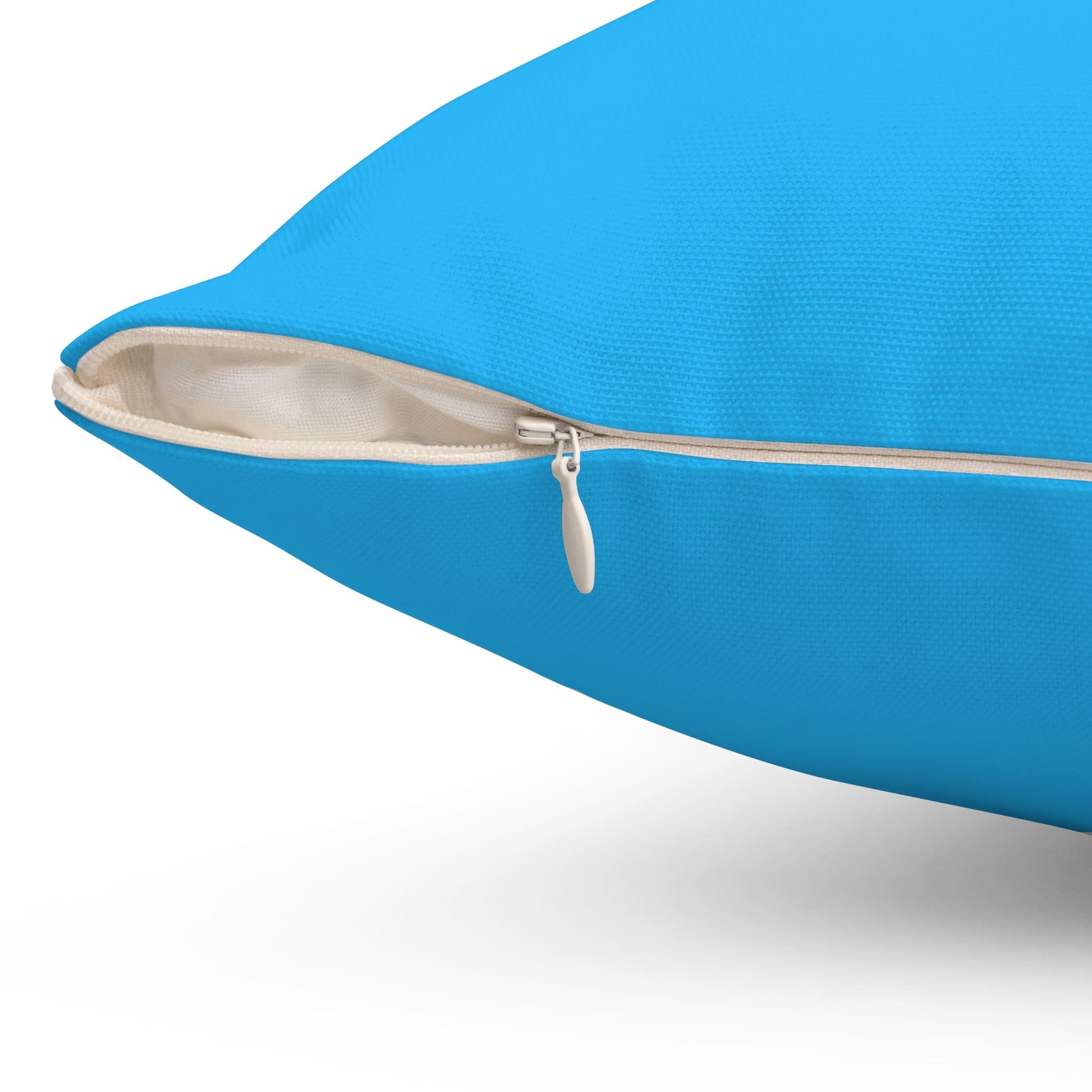 pansexual pillow zipper