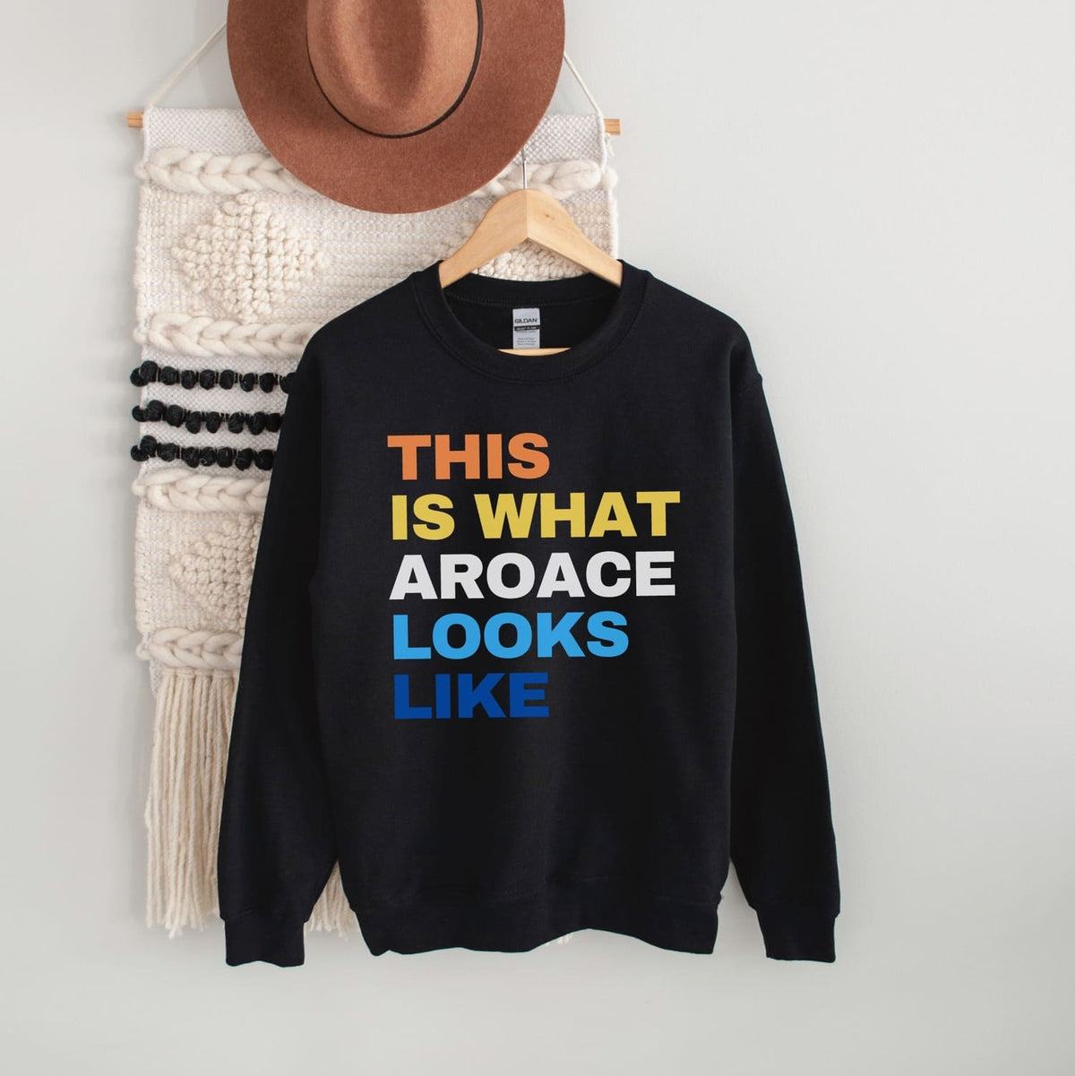 aroace sweatshirt in black hanging