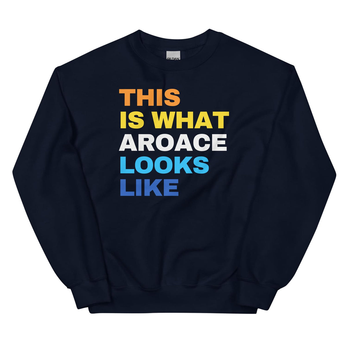 aroace sweatshirt in navy