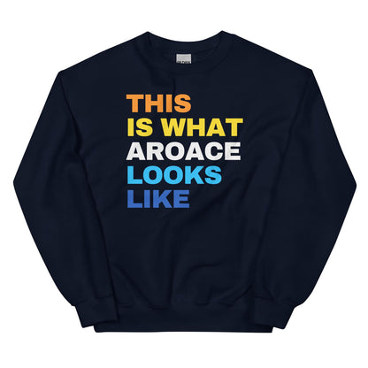 aroace sweatshirt in navy