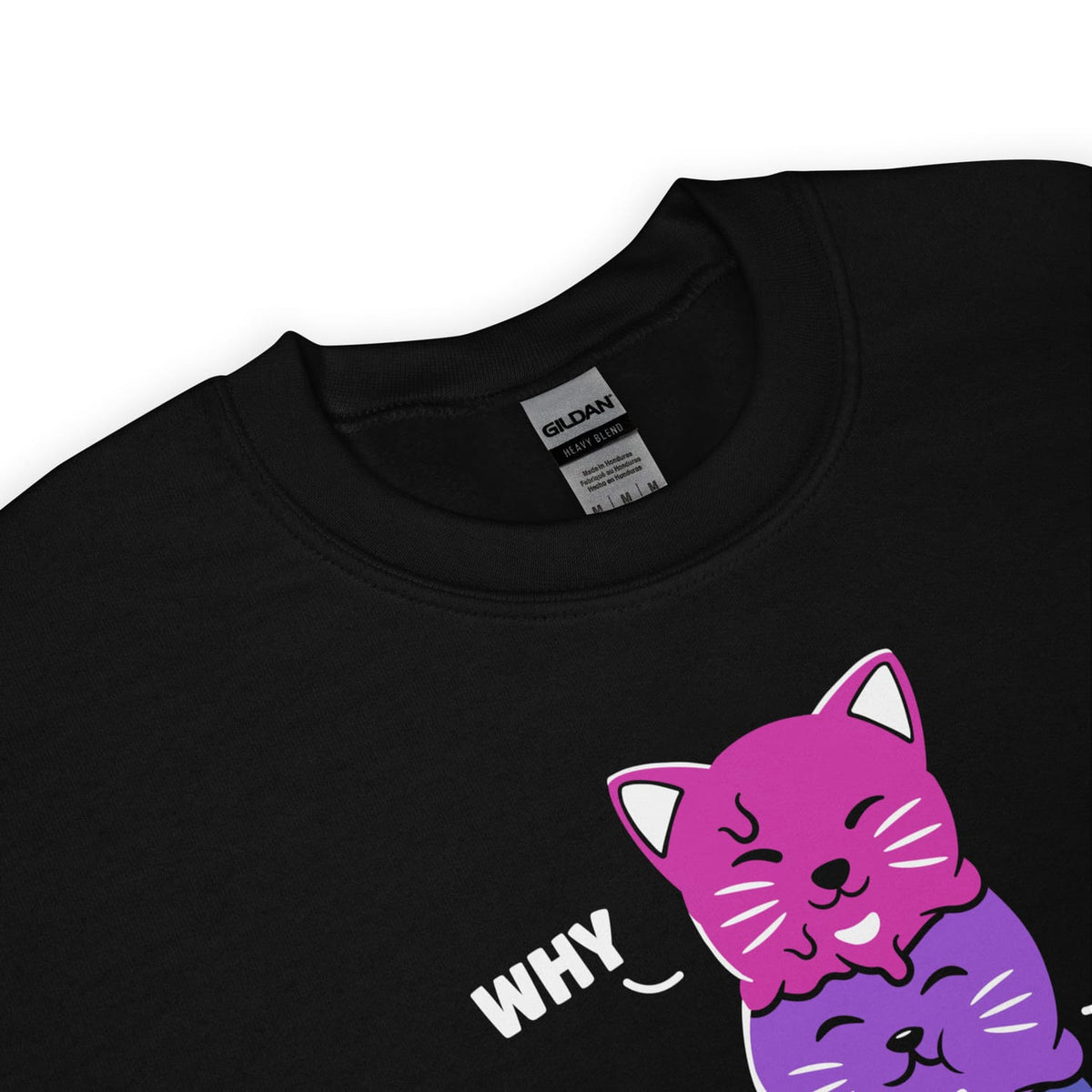 detail of cute bisexual sweatshirt