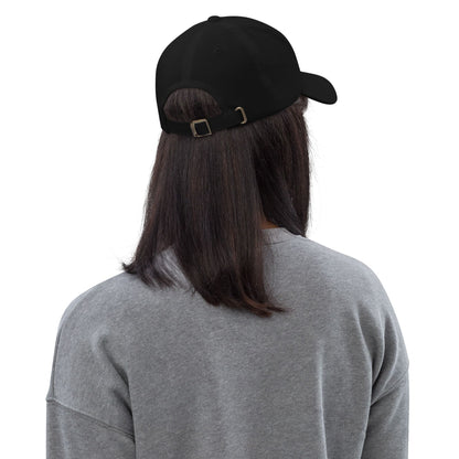 femboy hat, femboi pride flag embroidered cap, model back