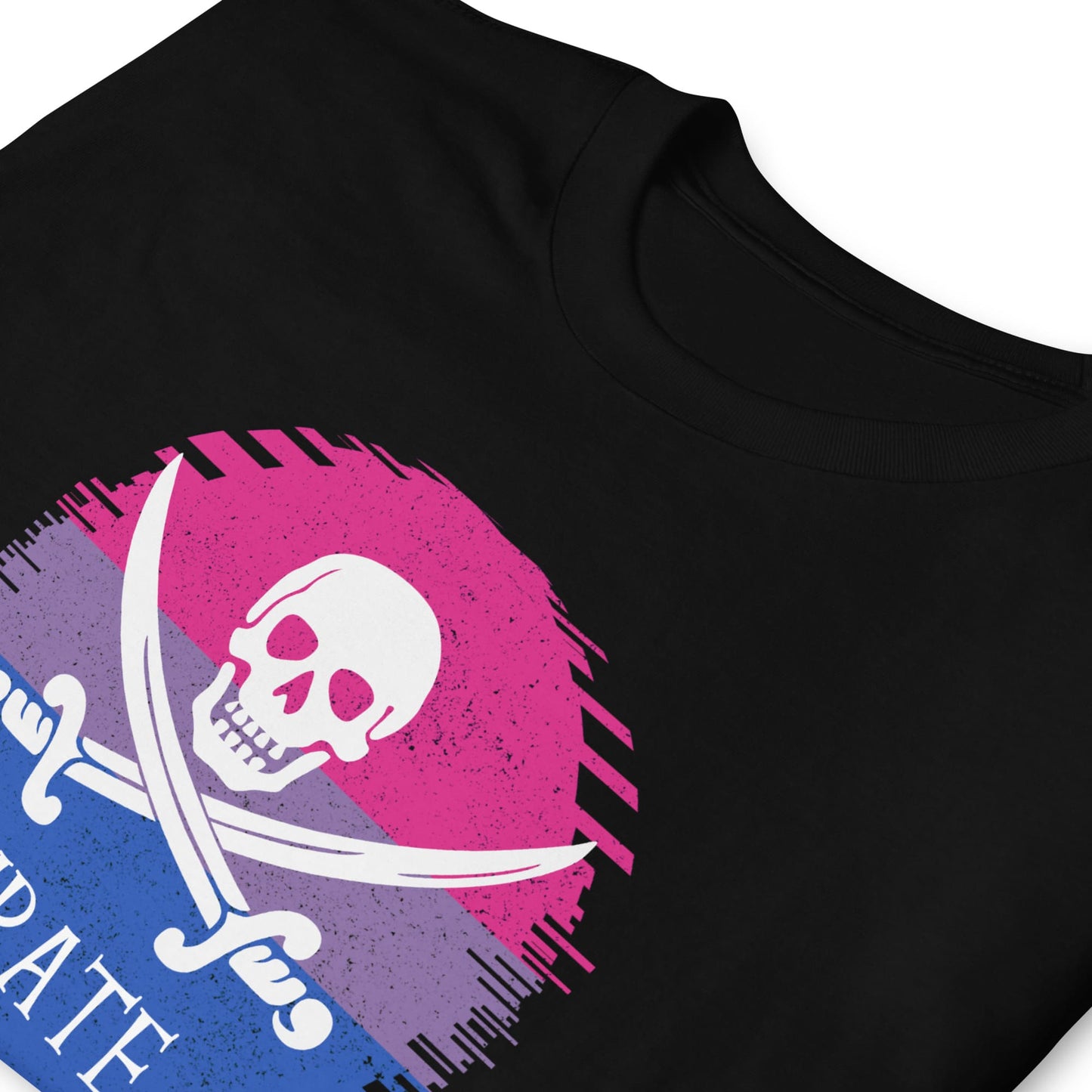 bisexual shirt, funny bi pride pirate, zoom