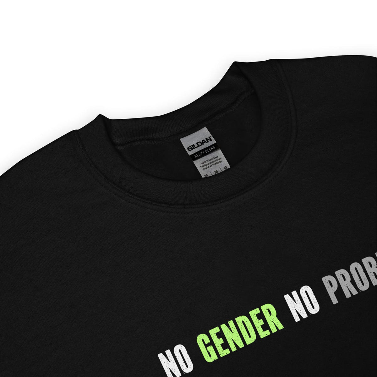 Zoon on agender sweatshirt with 'NO GENDER NO PROBLEM' text on a white background