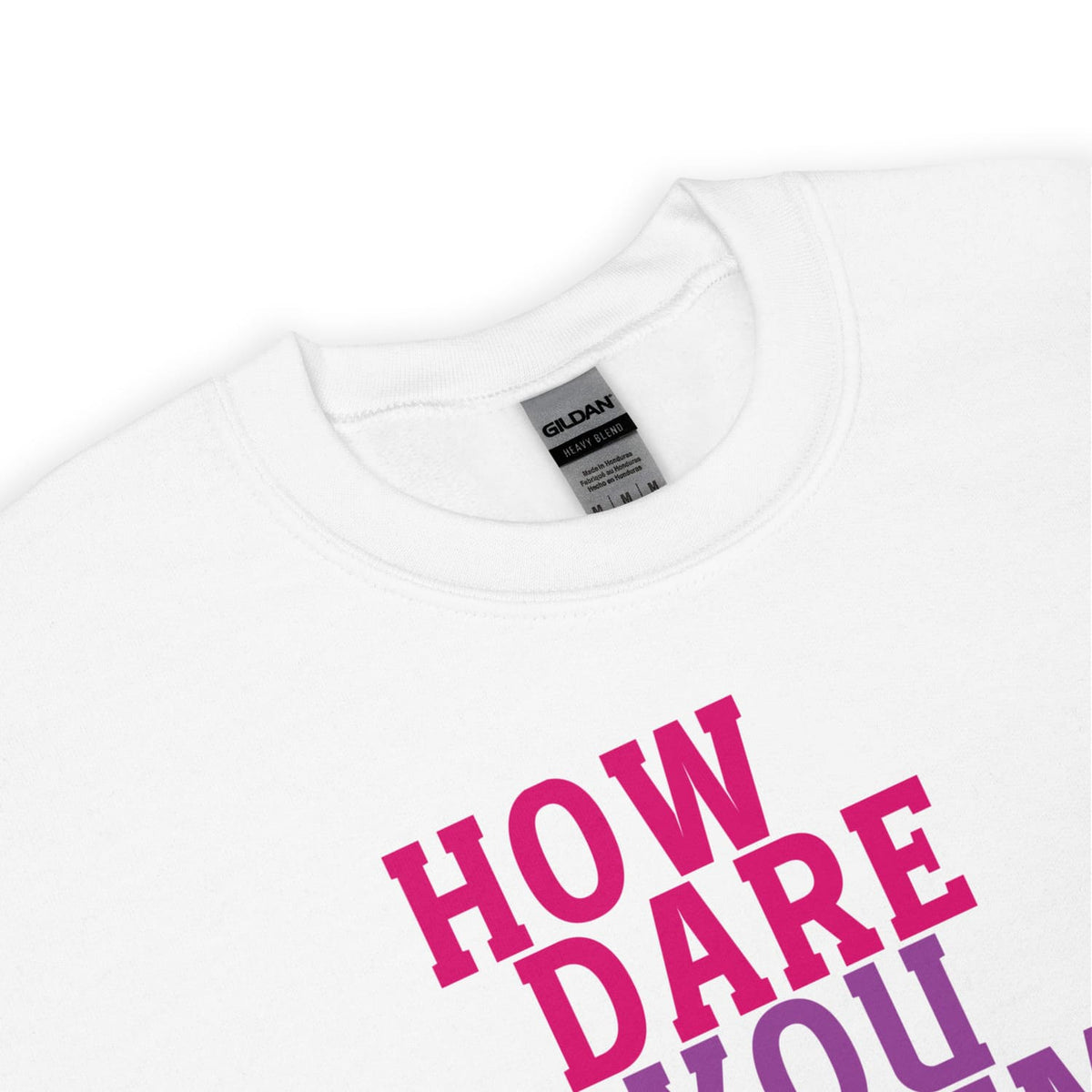 zoom on bisexual sweatshirt with pink text 'HOW DARE YOU assume i'm straight' and a visible brand label on a white background