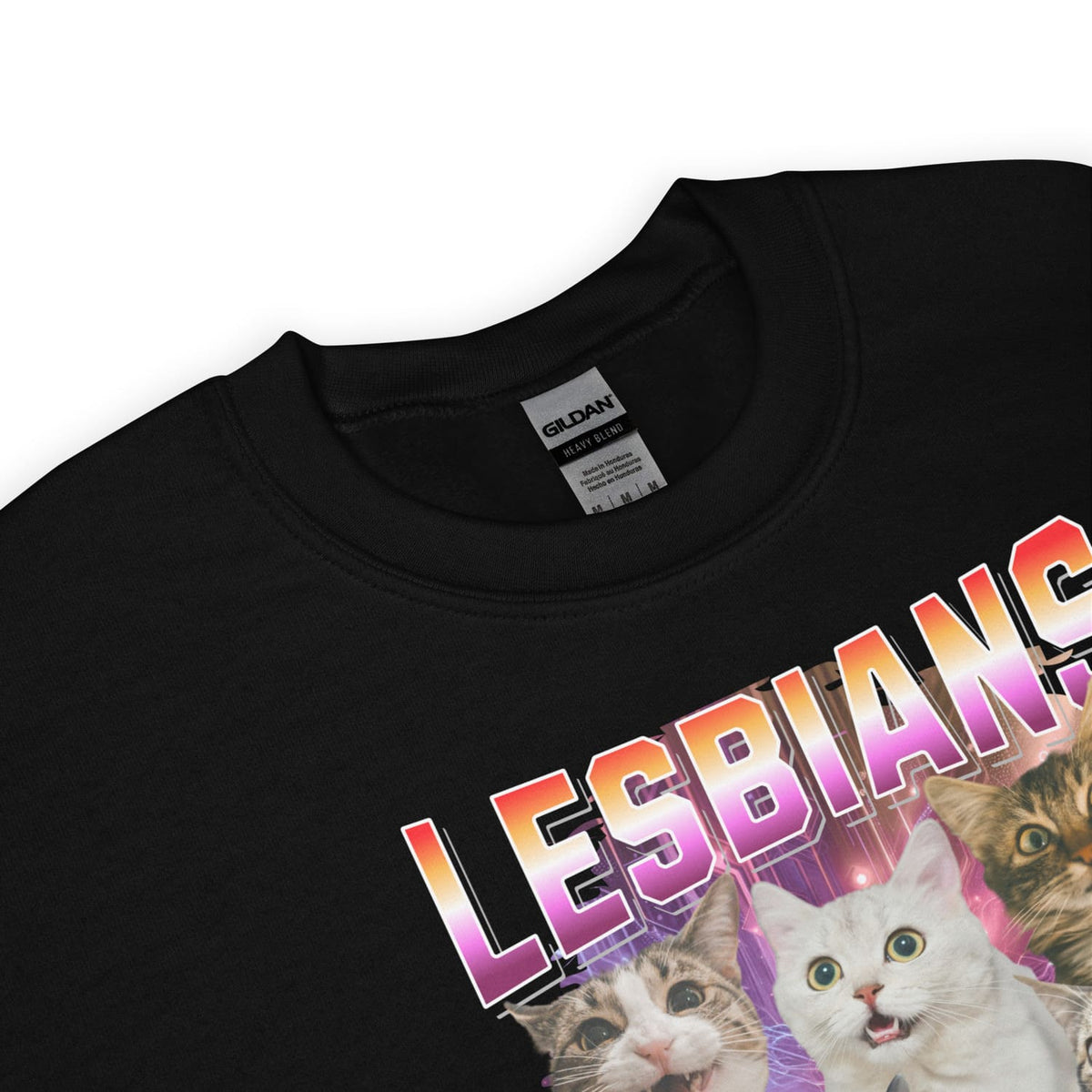 Black sweatshirt with colorful 'LESBIANSeat what' text and cat images on a white background