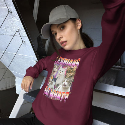 Person wearing a maroon sweatshirt with lesbian cat graphic design and text, sitting on stairs.