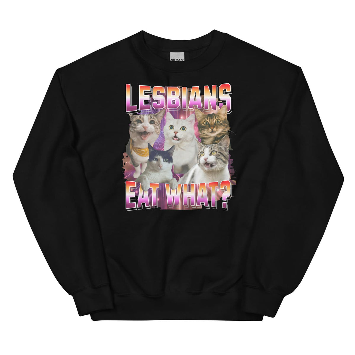 Black sweatshirt with cat graphic and text 'LESBIANS EAT WHAT?' on a white background