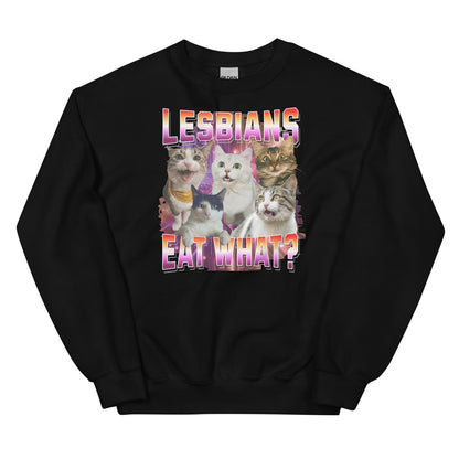 Black sweatshirt with cat graphic and text 'LESBIANS EAT WHAT?' on a white background