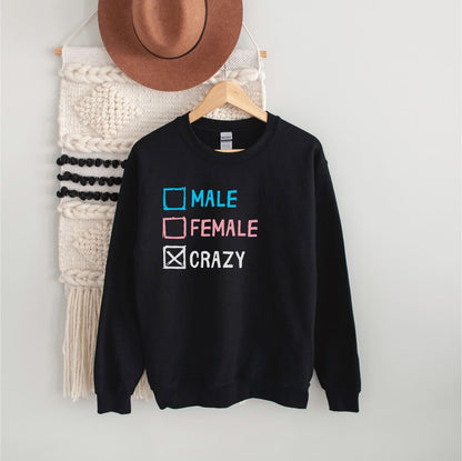 Trans pride  sweatshirt with text on a hanger against a white wall