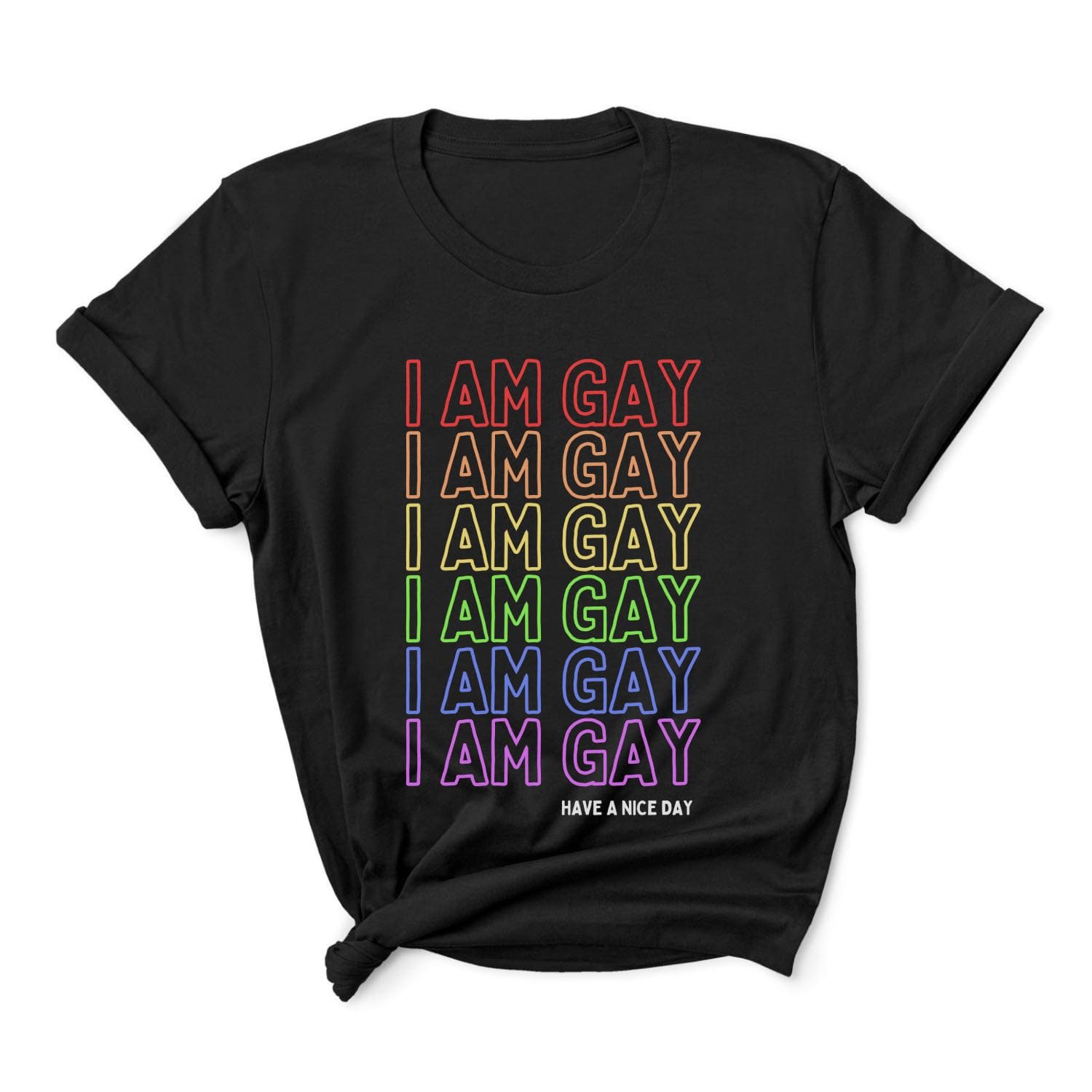 LGBT gay shirt, statement rainbow pride, main