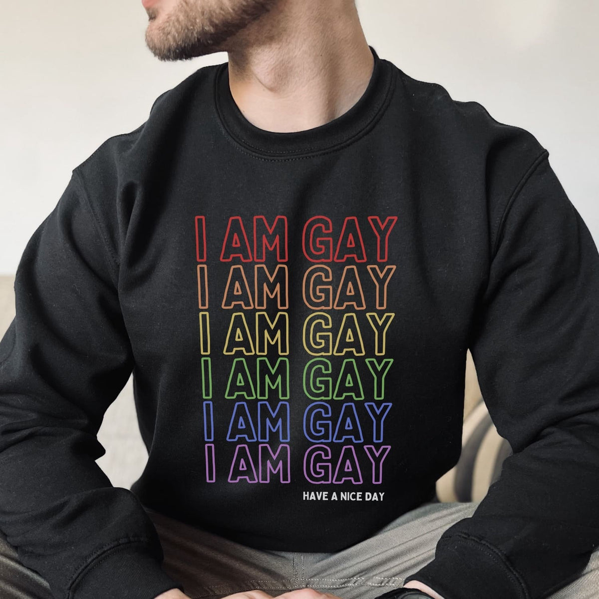 Person wearing a black lgbtq pride sweatshirt with 'I AM GAY' in rainbow colors and 'HAVE A NICE DAY' text.