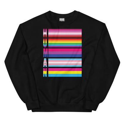 Black LGBTQ sweatshirt with colorful 'HUMAN' pride flags design on a white background