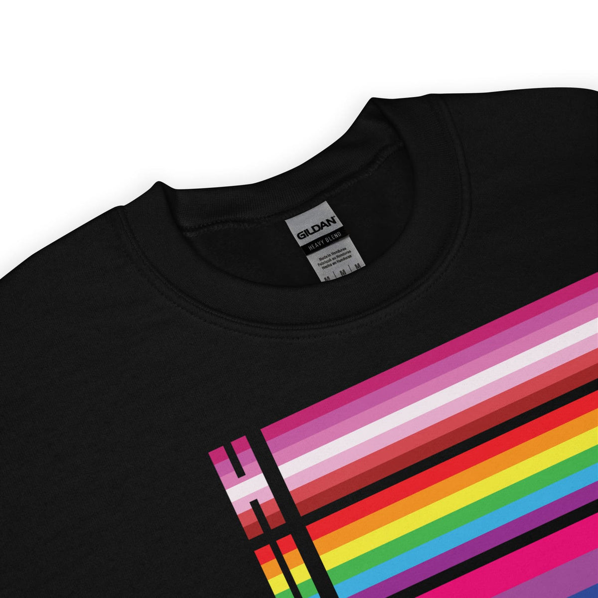 Black pride flags LGBT sweatshirt with colorful striped design on a white background
