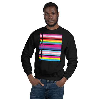 Person wearing a black LGBTQ sweatshirt with a colorful 'HUMAN' pride flags design on a white background