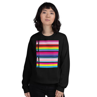 Person wearing a black pride flags LGBTQ sweatshirt with colorful design on a white background
