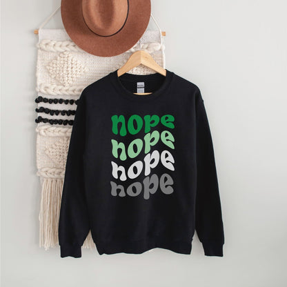 Black aromantic sweatshirt with 'nope' text in multiple colors on a hanger against a white wall.