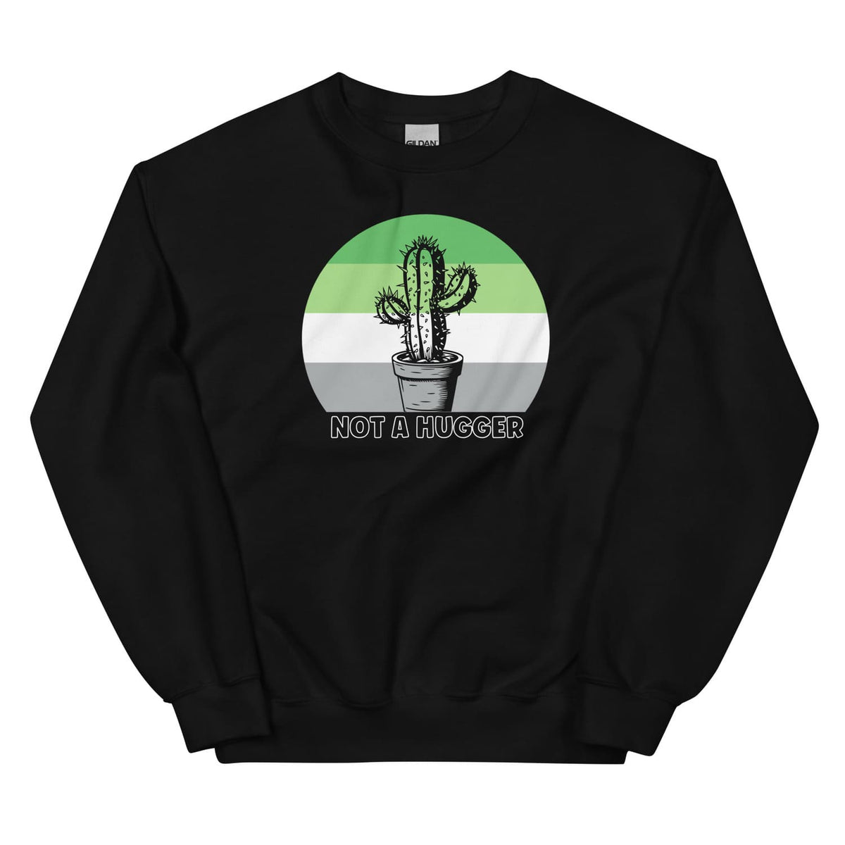 Black aromantic  sweatshirt with a cactus graphic and 'Not a Hugger' text on a white background