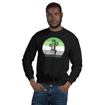 Man wearing a black aromantic sweatshirt with a cactus graphic and text on a white background