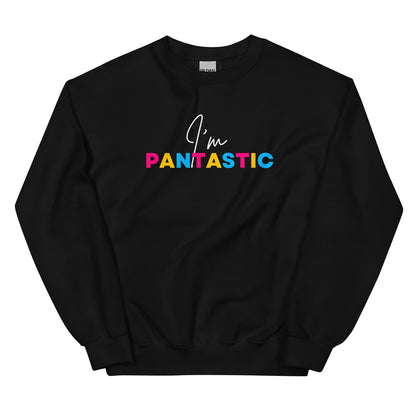 Black pansexual sweatshirt with 'I'm PANTASTIC' text in colorful letters on a white background