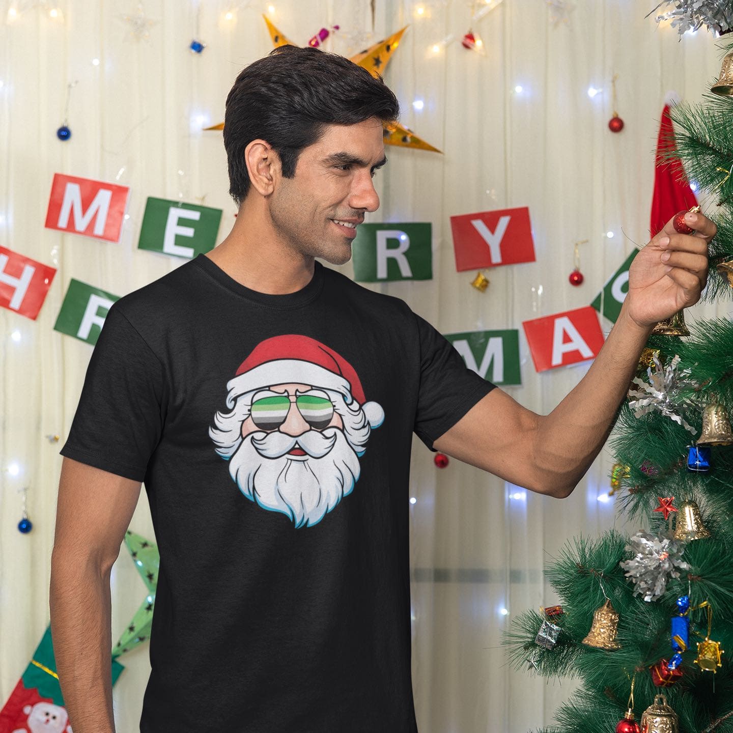 Funny aro pride christmas shirt